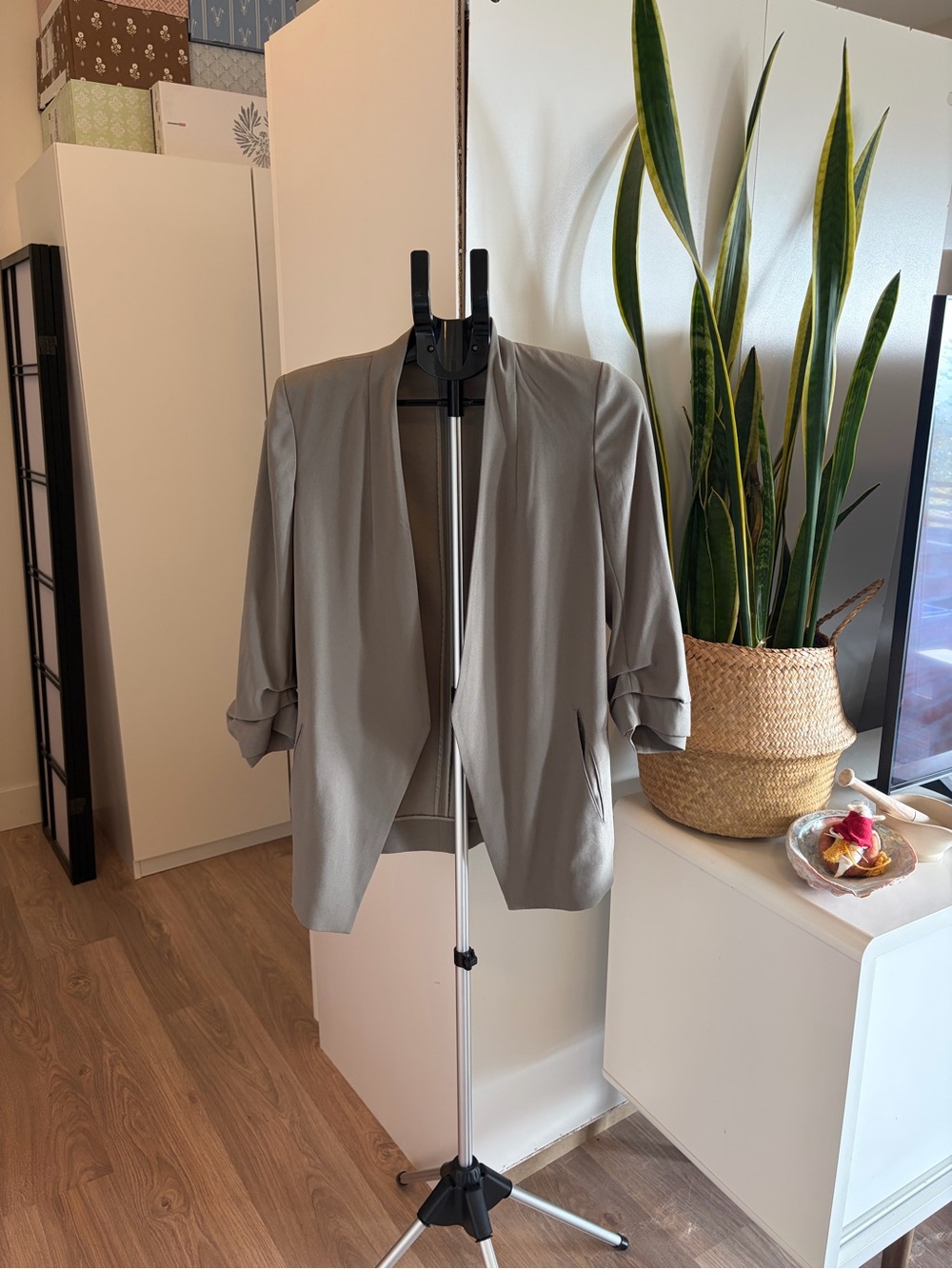 Aritzia Babaton Power Blazer